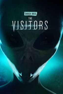 The Visitors
