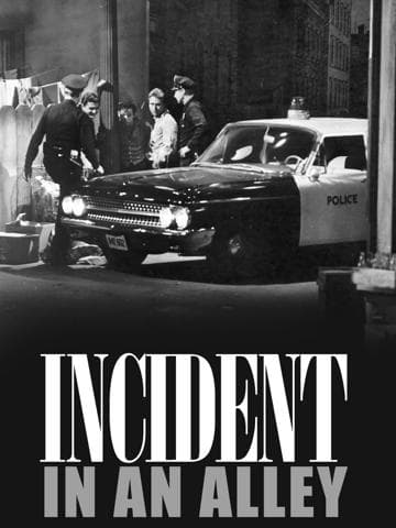 Incident in an Alley