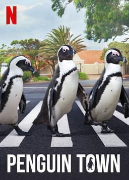 Penguin Town
