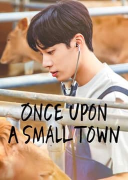 Once Upon a Small Town