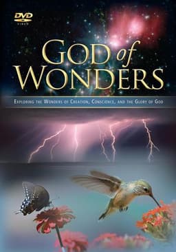 God of Wonders