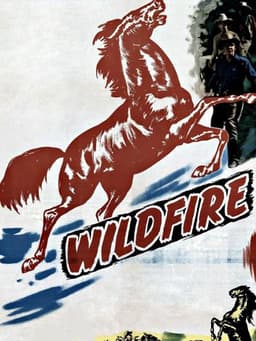 Wildfire