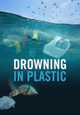 Drowning in Plastic