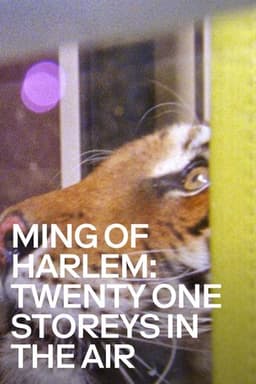 Ming of Harlem: Twenty One Storeys in the Air