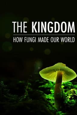 The Kingdom: How Fungi Made Our World