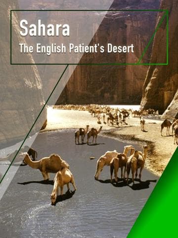 Sahara with Michael Palin