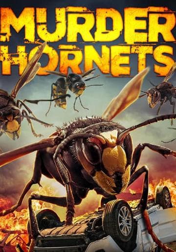 Angry Asian Murder Hornets