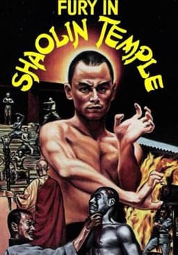 Fury in Shaolin Temple