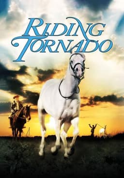 Tornado and the Kalahari Horse Whisperer