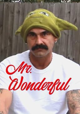 Mr. Wonderful