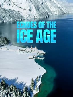 Echoes of the Ice Age