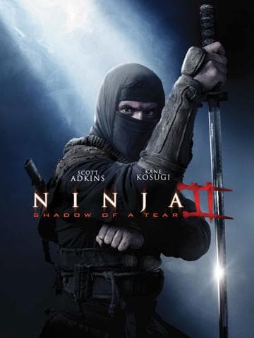 Ninja: Shadow of a Tear