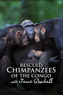 Obama: Building the Dream