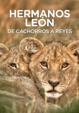 Lion Brothers: Cubs to Kings