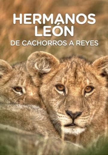 Lion Brothers: Cubs to Kings