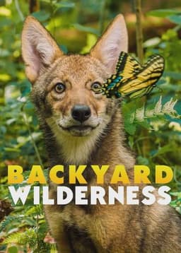 Backyard Wilderness