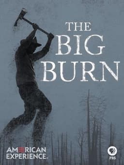 The Big Burn