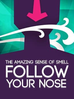 Follow Your Nose: Cracking Smell's Code