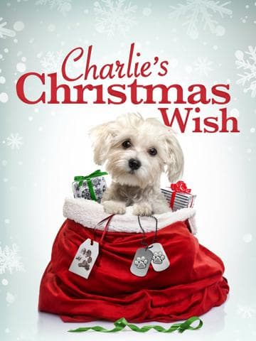 Charlie's Christmas Wish