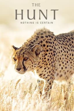 The Hunt