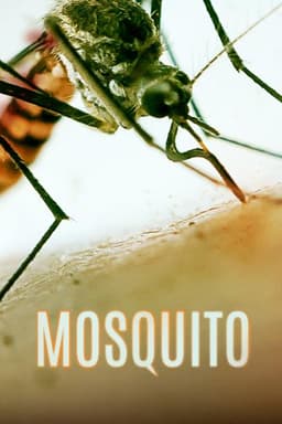 Mosquito