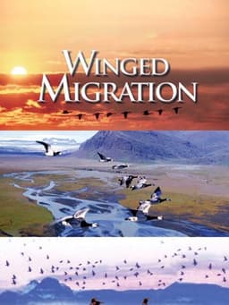 Winged Migration