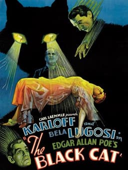 The Black Cat