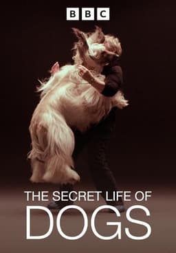 The Secret Life of Dogs