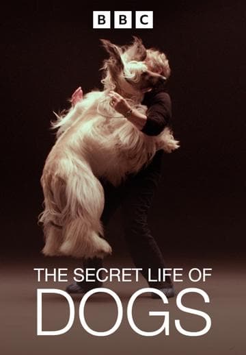 The Secret Life of Dogs