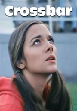 Crossbar