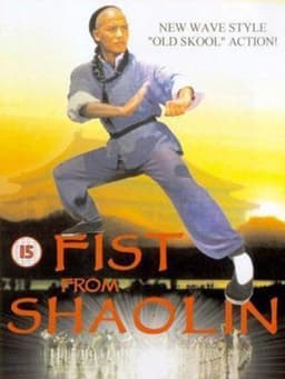 Fist from Shaolin