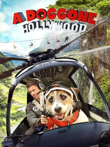 A Doggone Hollywood