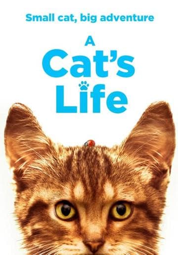 A Cat's Life