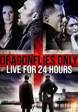 Dragonfiles Only Live for 24 Hours