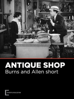 The Antique Shop