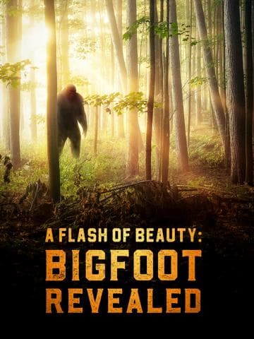 A Flash of Beauty: Bigfoot Revealed