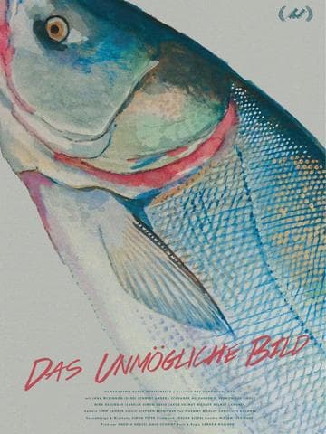 The Impossible Picture