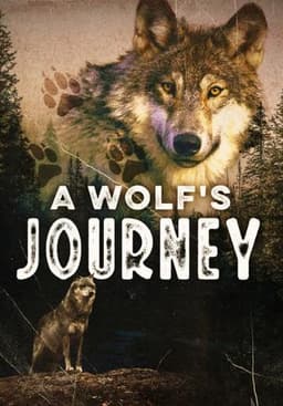 A Wolf's Journey