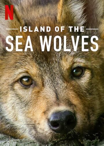 Island of the Sea Wolves