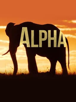 Alpha