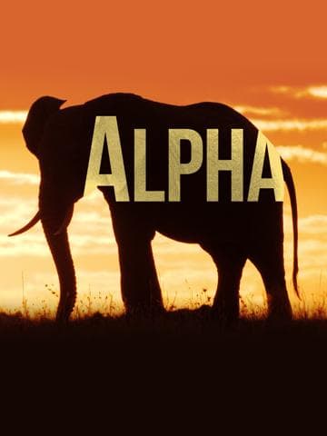 Alpha