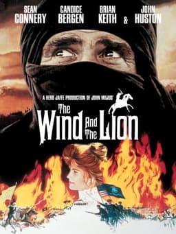 The Wind and the Lion