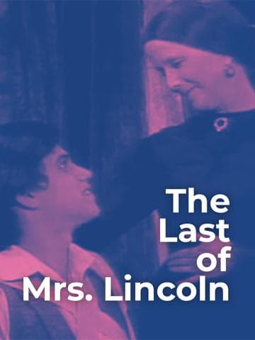 The Last of Mrs. Lincoln