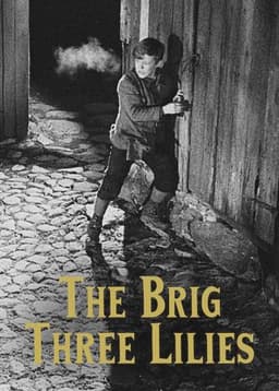 The Brig Three Lilies