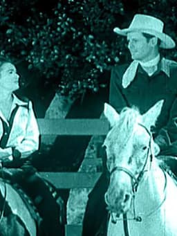 The Fighting Stallion