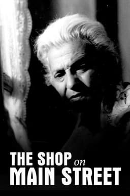 The Shop on Main Street