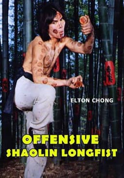 Deadly Shaolin Longfist