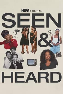 Seen & Heard: The History of Black Television