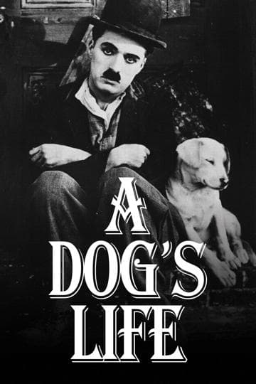 A Dog's Life