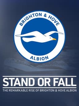 Stand or Fall: The Remarkable Rise of Brighton and Hove Albion